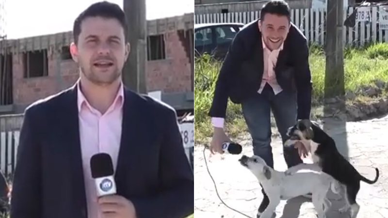 Juno César Mello não conseguiu conter o riso ao receber um ataque de fofura de dois cachorros de rua - Foto: Reprodução/ Instagram