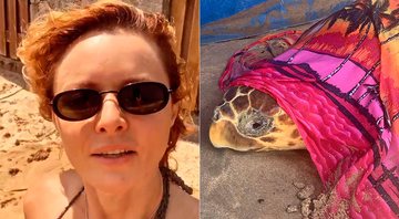 Rita Guedes mostrou ajuda a tartaruga marinha - Foto: Reprodução/ Instagram