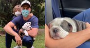 Rômulo Estrela compartilha clique com filhote de cachorro - Foto: Reprodução / Instagram @romuloestrela