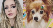 Cantora se declarou à pet nas redes sociais ao compartilhar imagens dela - Reprodução / Instagram @sandyoficial