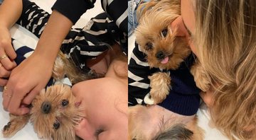 Xuxa posta fotos de sua filha ao lado de cachorrinha - Foto: Reprodução / Instagram @xuxameneghel
