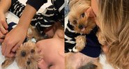 Xuxa posta fotos de sua filha ao lado de cachorrinha - Foto: Reprodução / Instagram @xuxameneghel