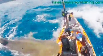 Scott Haraguchi sofreu ataque de tubarão-tigre no mar do Havaí - Foto: Reprodução/ Twitter@TakingoutTrash7