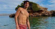 Internautas brincaram com Maísa nos comentários da publicação - Reprodução/Instagram/@shawnmendes
