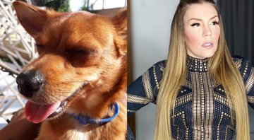 Simony diz que vai até o fim para saber quem atropelou sua cachorra - Foto: Reprodução / Instagram
