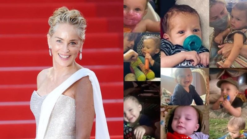 Família de Sharon Stone doa órgãos de sobrinho da atriz - Foto: Reprodução / Instagram @sharonstone @coredonatelife