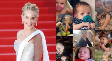Família de Sharon Stone doa órgãos de sobrinho da atriz - Foto: Reprodução / Instagram @sharonstone @coredonatelife