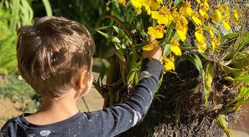 Coronavírus: No Instagram, Thais Fersoza mostra filho colhendo flores e faz alerta - Foto: Reprodução / Instagram