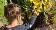 Coronavírus: No Instagram, Thais Fersoza mostra filho colhendo flores e faz alerta - Foto: Reprodução / Instagram