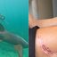 Tayane Dalazen voltou a mergulhar em Fernando de Noronha três meses após ser mordida por tubarão