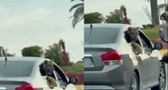 Tigre é filmado dentro de carro - Reprodução/Twitter@DistrittPuebla