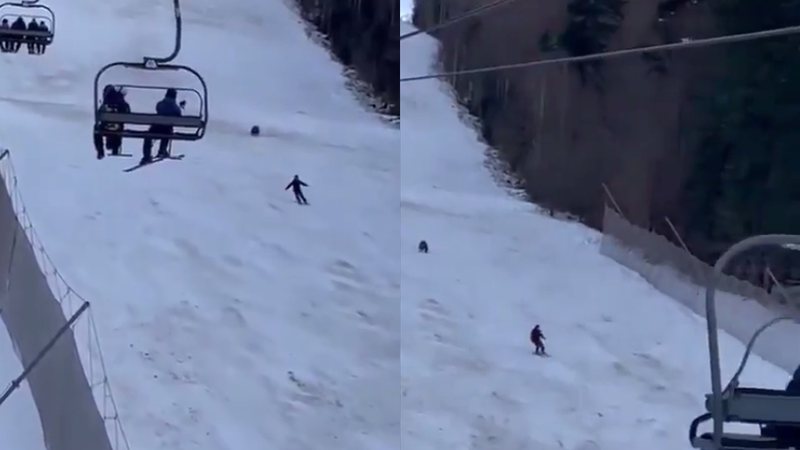 Esquiador perseguido por urso - Reprodução/Twitter@cptnwtrpnts