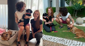 Whindersson Nunes adotou cadelinhas com deficiência - Foto: Reprodução/ Instagram@whinderssonnunes