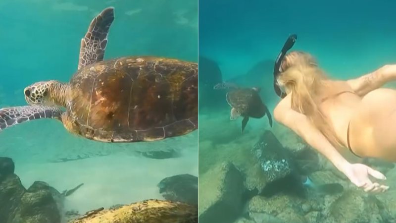 Yasmin Brunet mostrou mergulho com tartaruga e recebeu elogios
