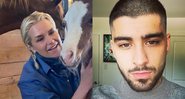 Yolanda Hadid e Zayn Malik - Foto: Reprodução / Instagram @yolanda.hadid @zayn