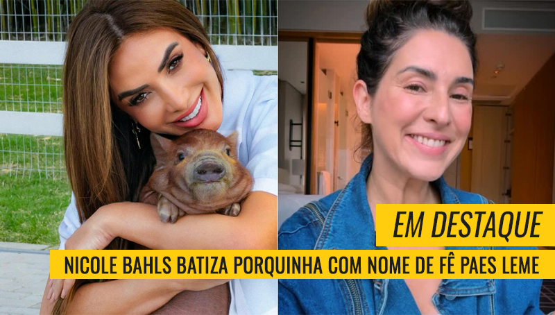 Porquinha Fê Paes Leme